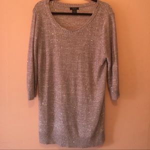 Silver Sparkly Sweater